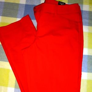 Express Editor pant 8R